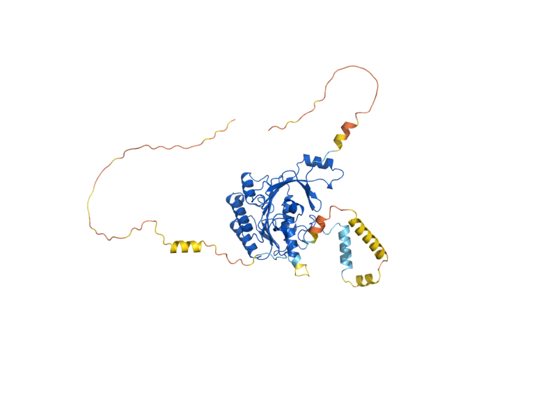 AlphaFold predicted structure of ELP4