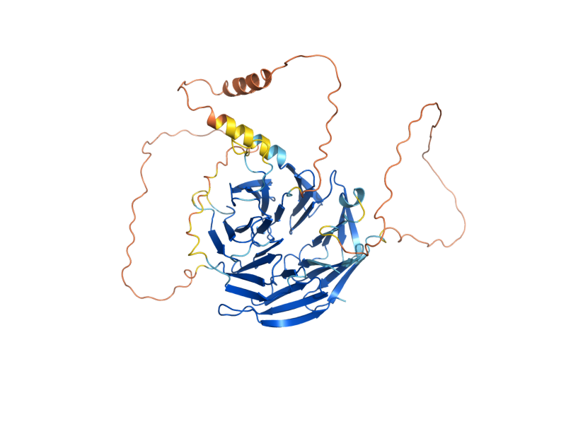 AlphaFold predicted structure of ATG21