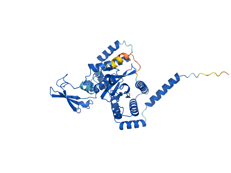 AlphaFold predicted structure of PNG1