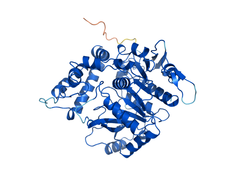 AlphaFold predicted structure of EEB1