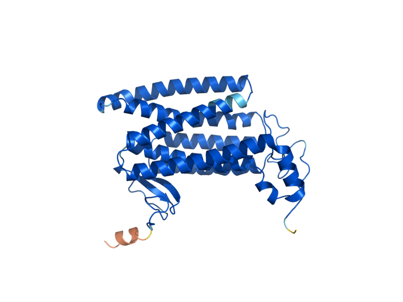 AlphaFold predicted structure of YDC1