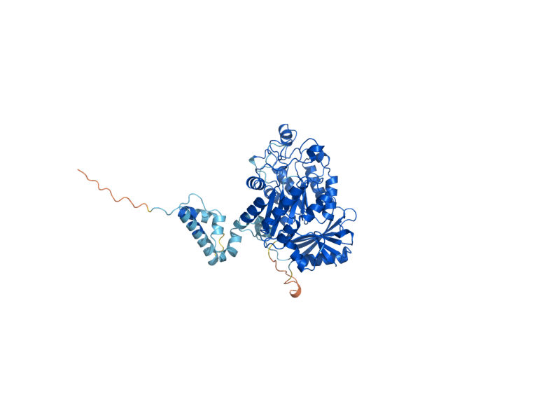 AlphaFold predicted structure of ELP3
