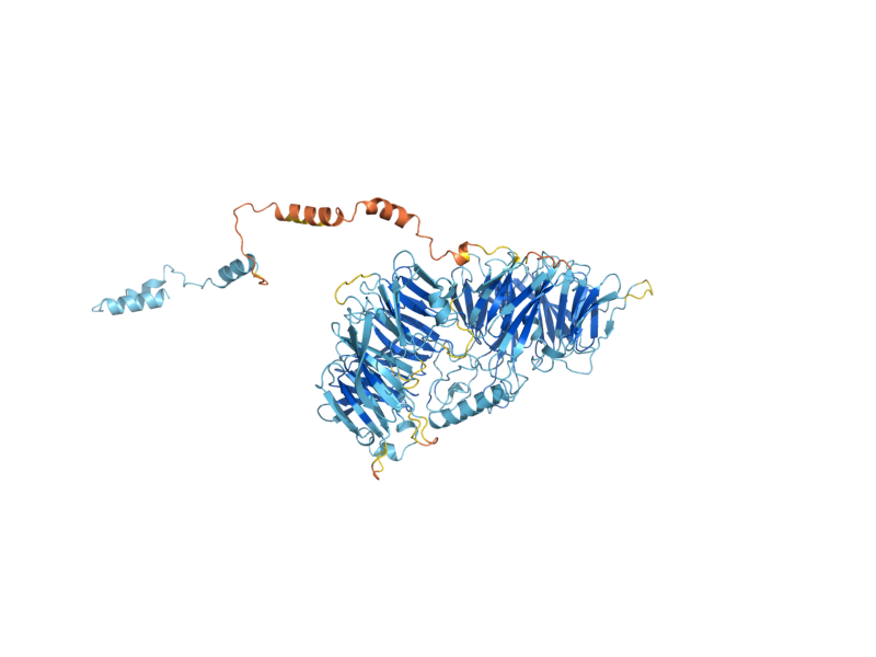 AlphaFold predicted structure of NAN1