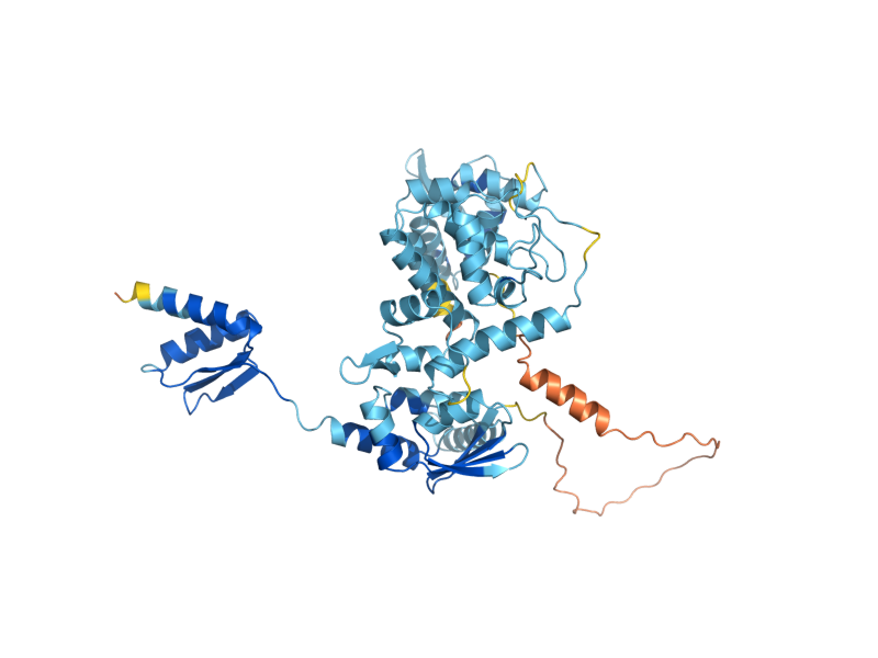 AlphaFold predicted structure of TFB2