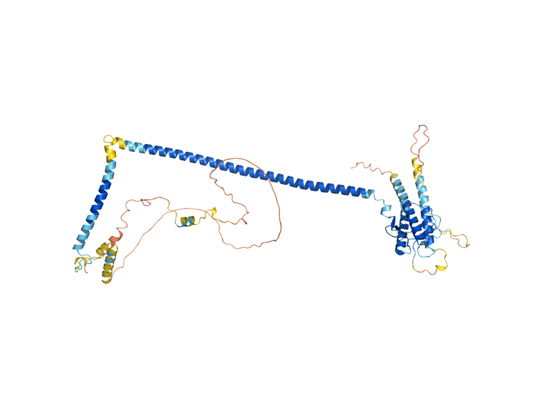 AlphaFold predicted structure of VPS30