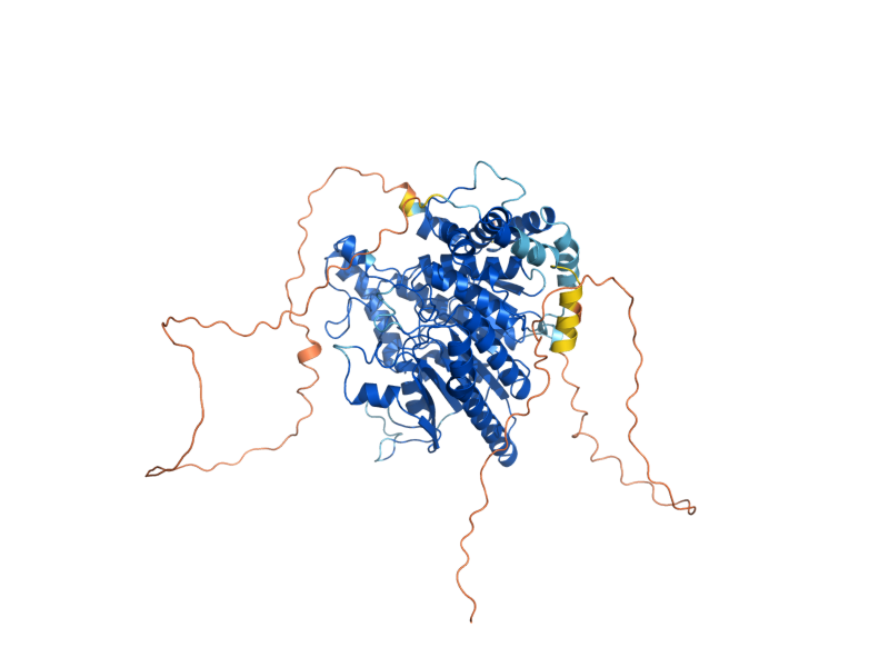 AlphaFold predicted structure of HOS3