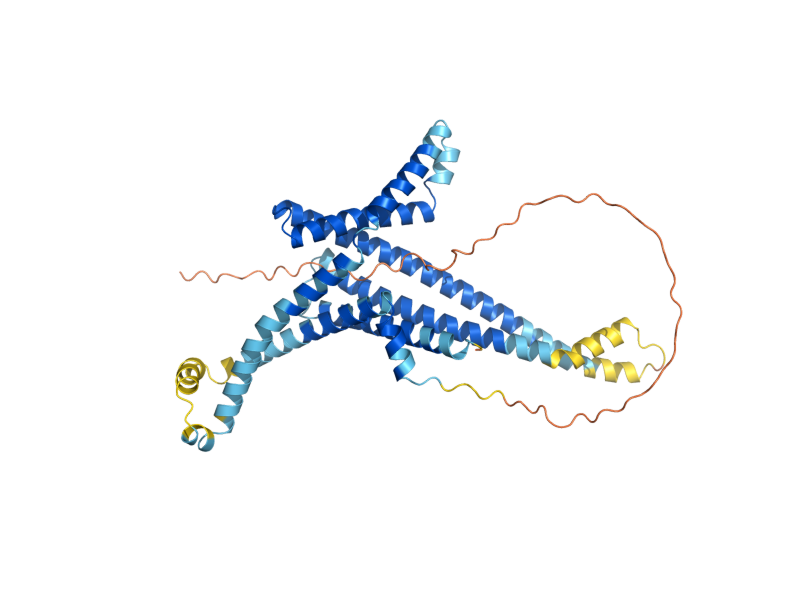 AlphaFold predicted structure of PEX25