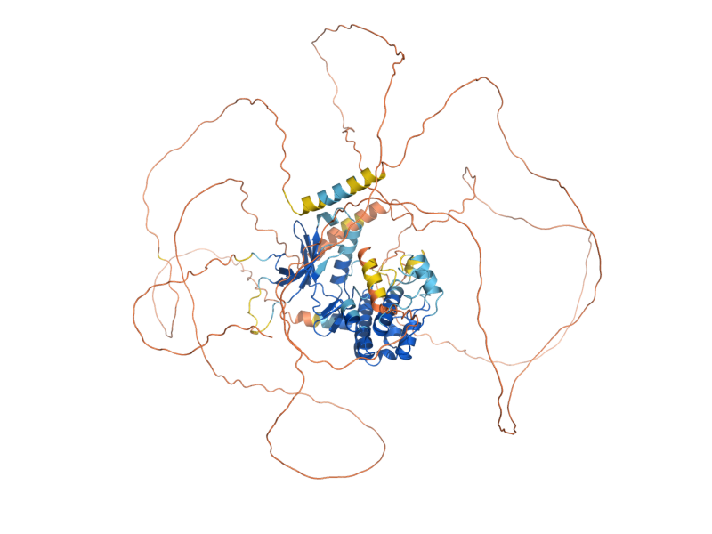 AlphaFold predicted structure of FRK1