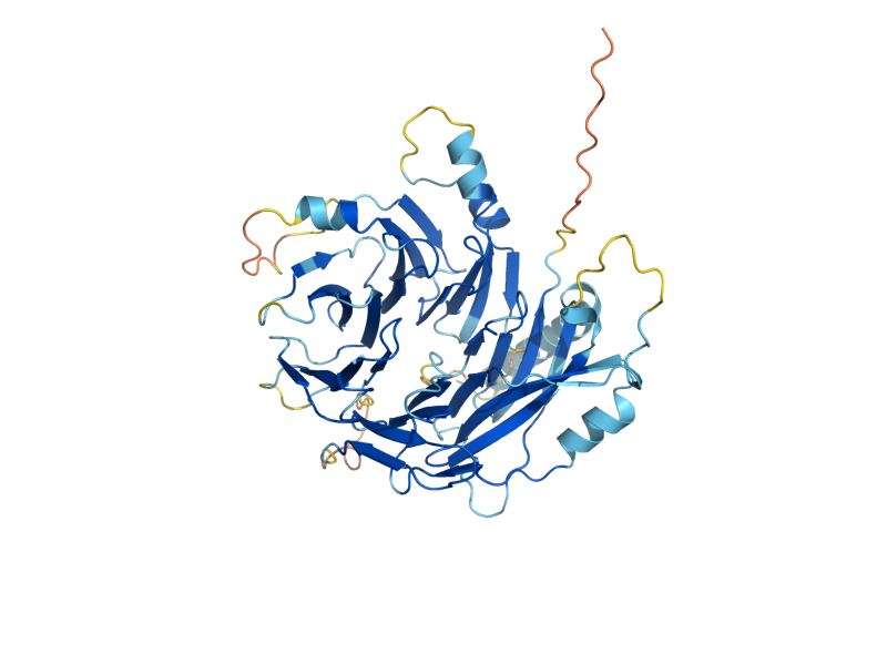 AlphaFold predicted structure of UME1