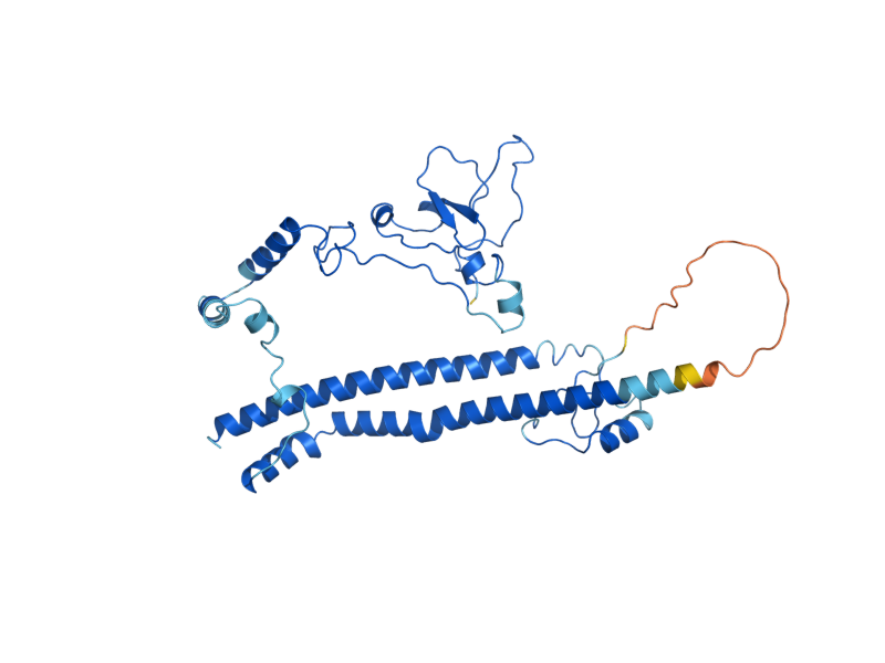 AlphaFold predicted structure of SPP1
