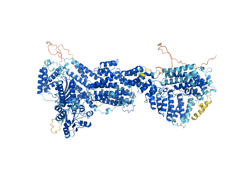 AlphaFold predicted structure of ESP1