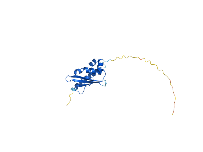 AlphaFold predicted structure of ISU1
