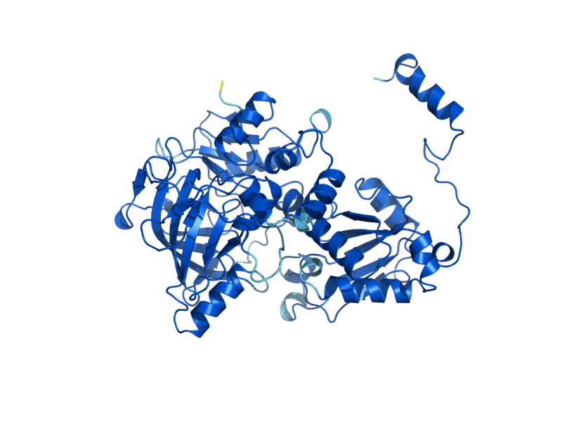 AlphaFold predicted structure of FDC1