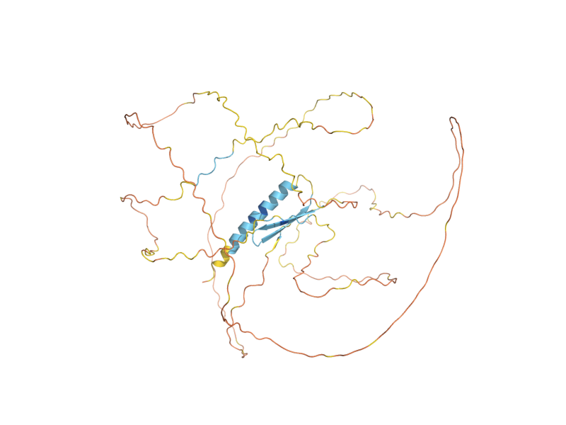 AlphaFold predicted structure of DIG1