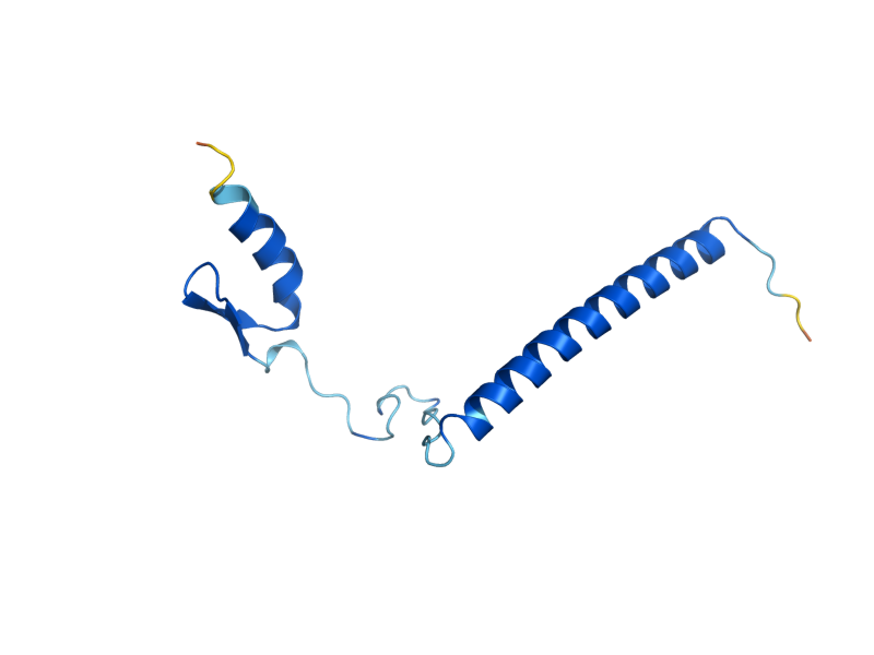 AlphaFold predicted structure of SGF11