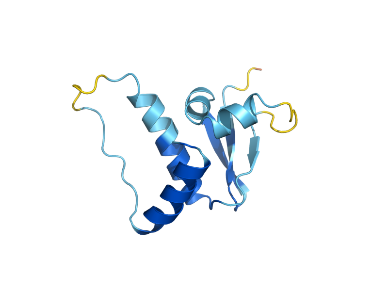 AlphaFold predicted structure of ELC1