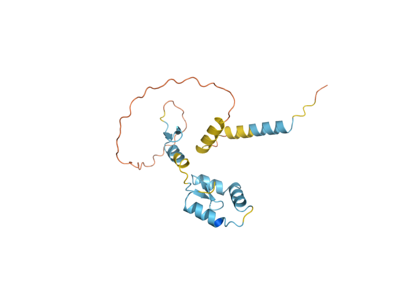 AlphaFold predicted structure of MET31