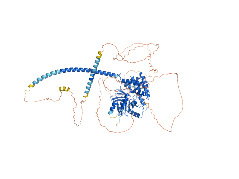 AlphaFold predicted structure of SVL3