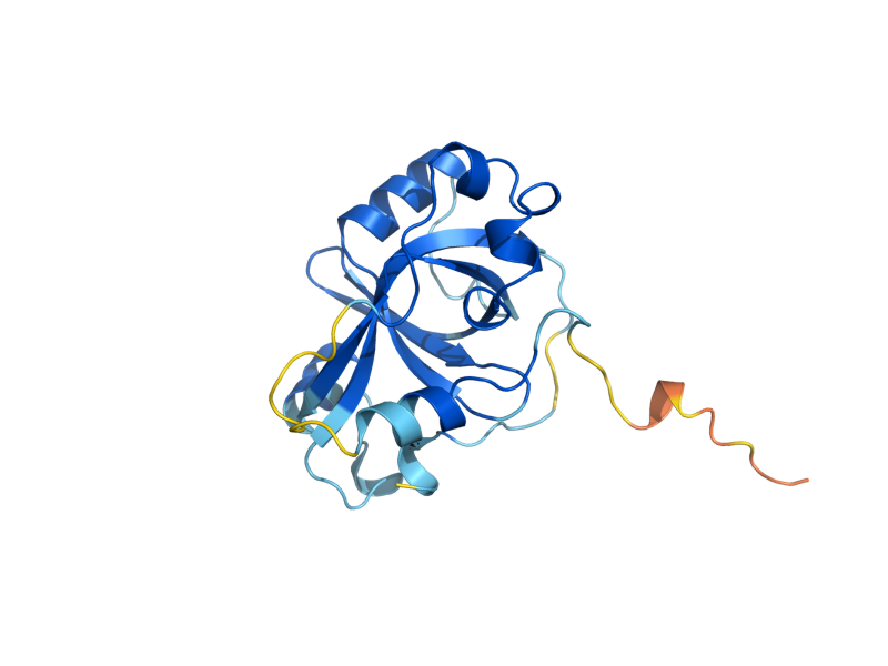 AlphaFold predicted structure of EST3