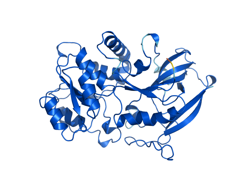 AlphaFold predicted structure of YML131W