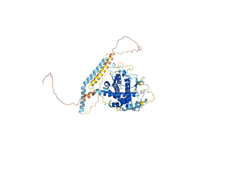 AlphaFold predicted structure of ERO1