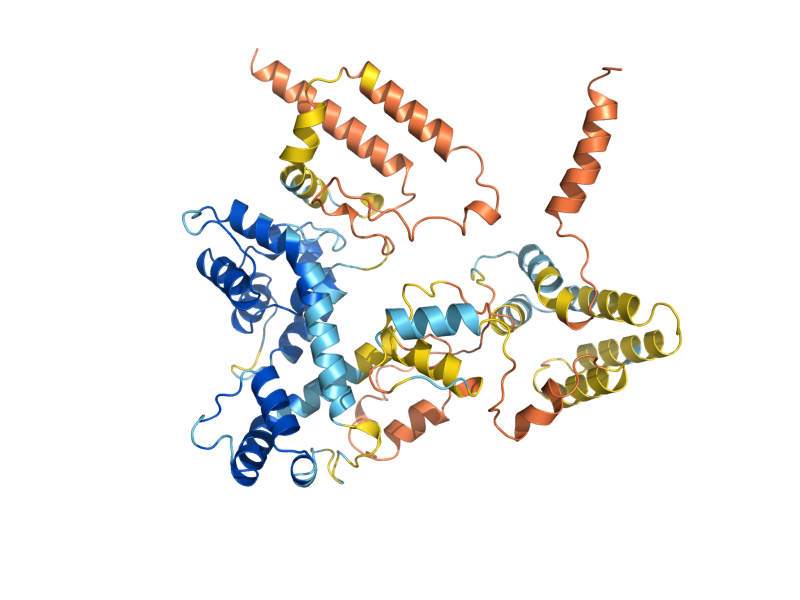 AlphaFold predicted structure of MSC1