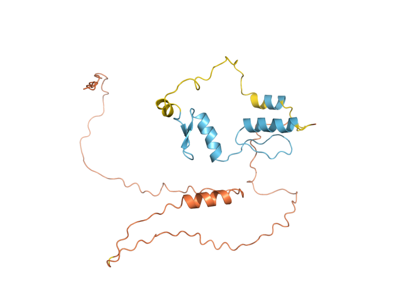 AlphaFold predicted structure of NRG1