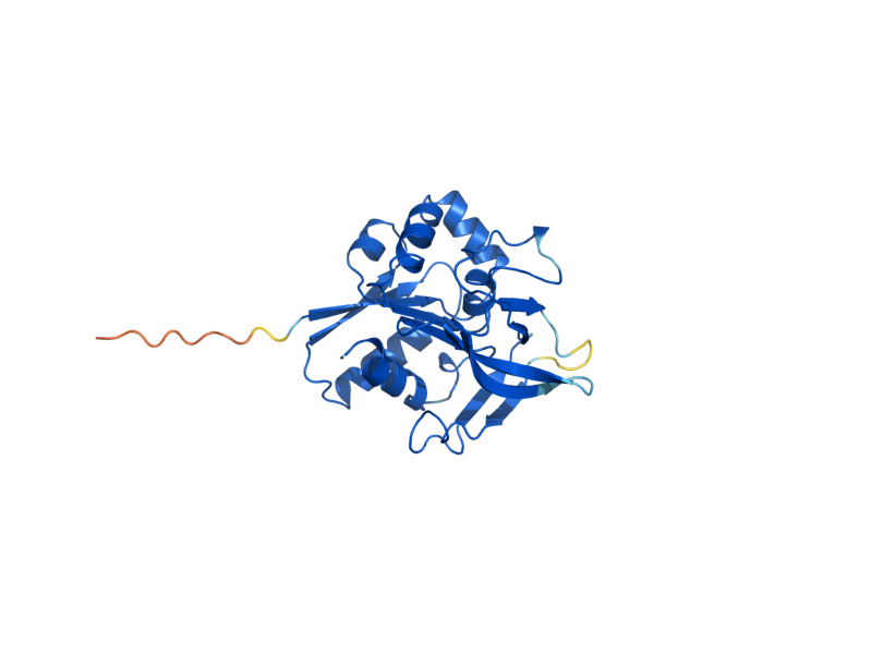 AlphaFold predicted structure of SNO1