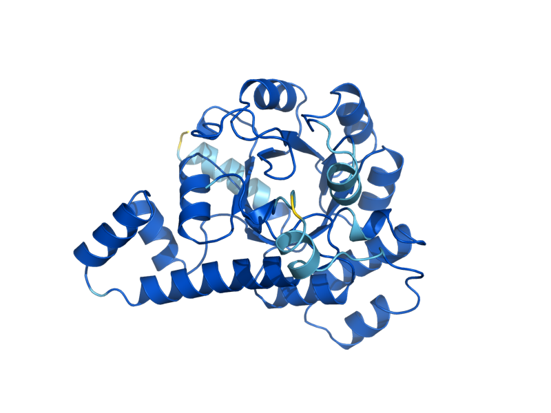 AlphaFold predicted structure of SNZ1