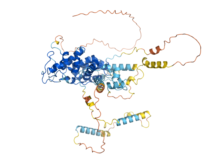 AlphaFold predicted structure of MUB1