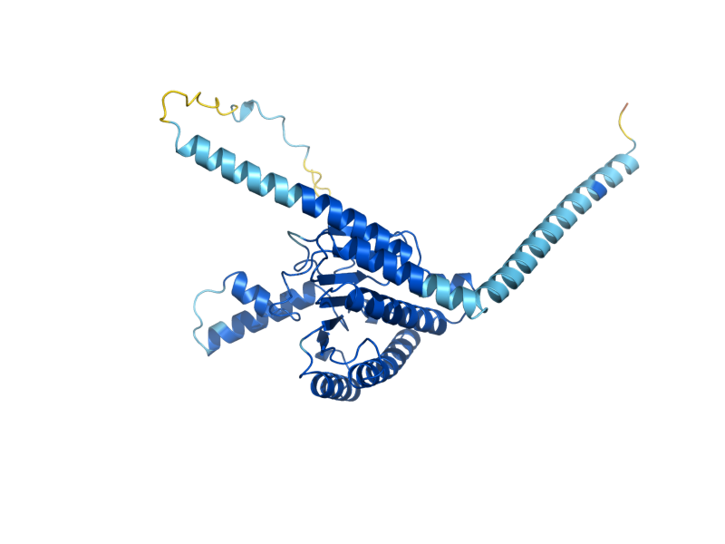 AlphaFold predicted structure of SRT1