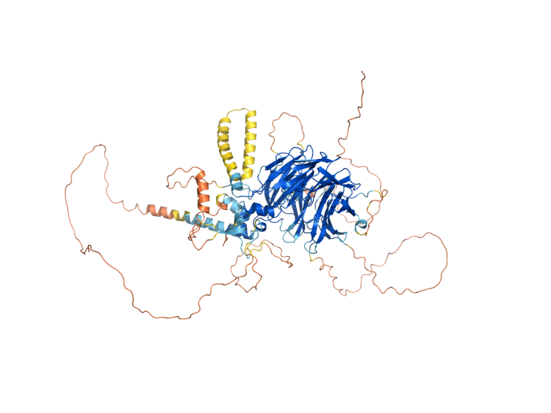 AlphaFold predicted structure of LAF1