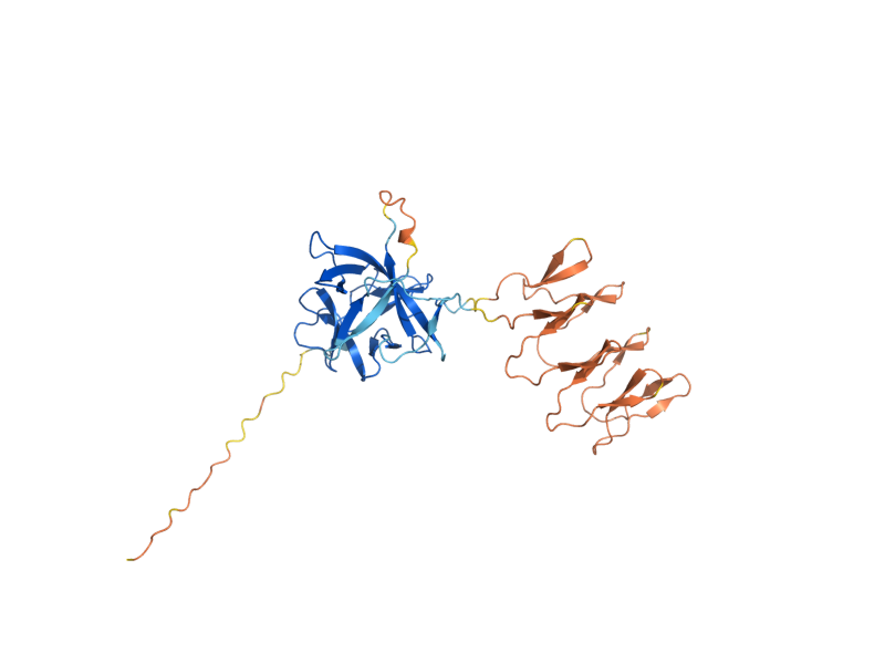AlphaFold predicted structure of PIR3
