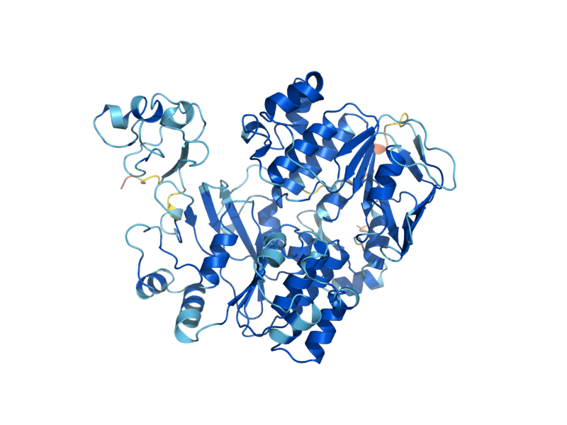 AlphaFold predicted structure of RLI1