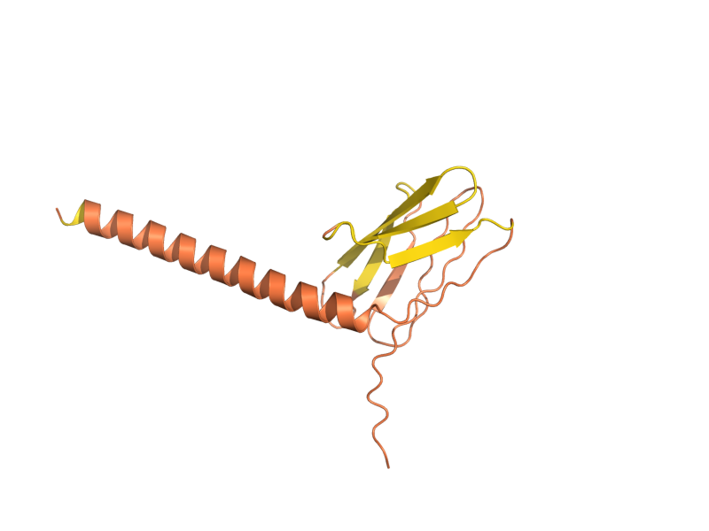 AlphaFold predicted structure of YML122C
