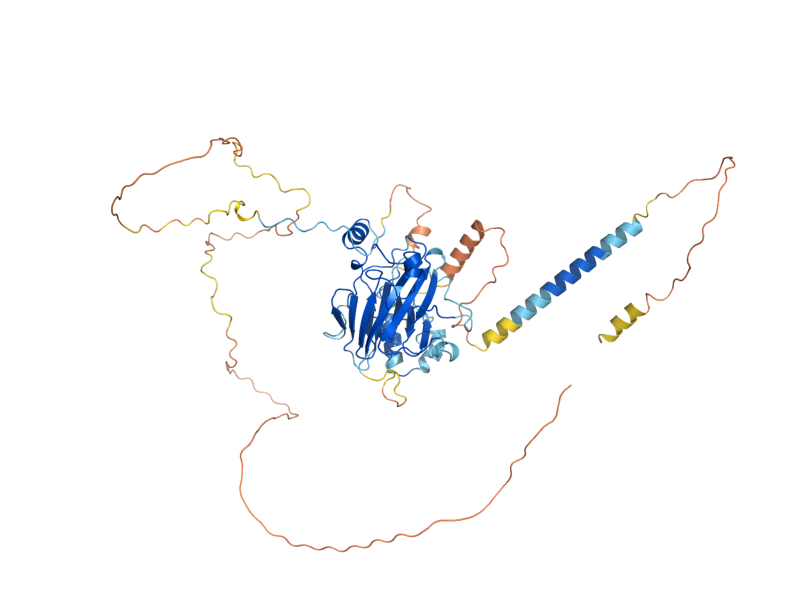 AlphaFold predicted structure of EAR1