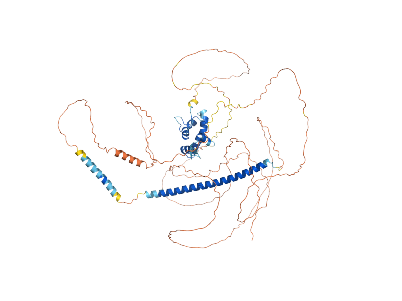 AlphaFold predicted structure of HOT1