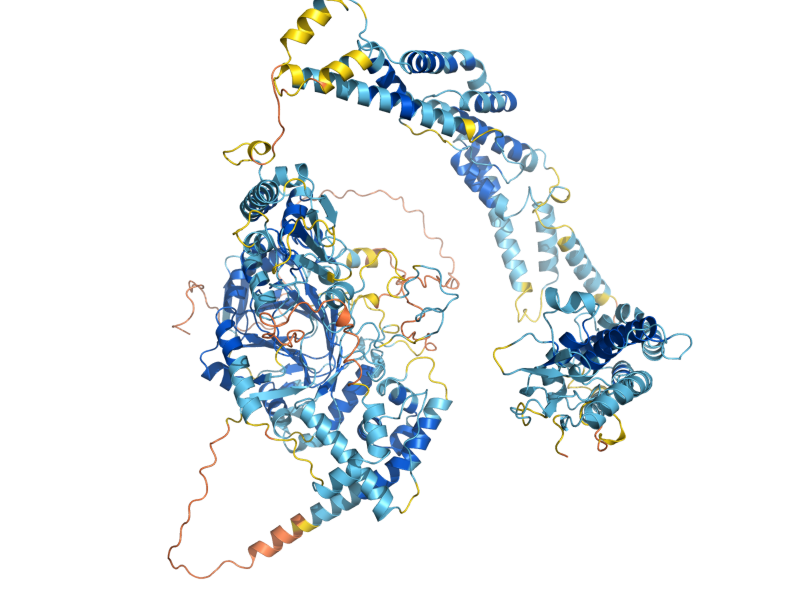 AlphaFold predicted structure of ECM5