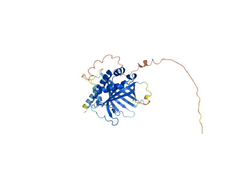 AlphaFold predicted structure of CTL1
