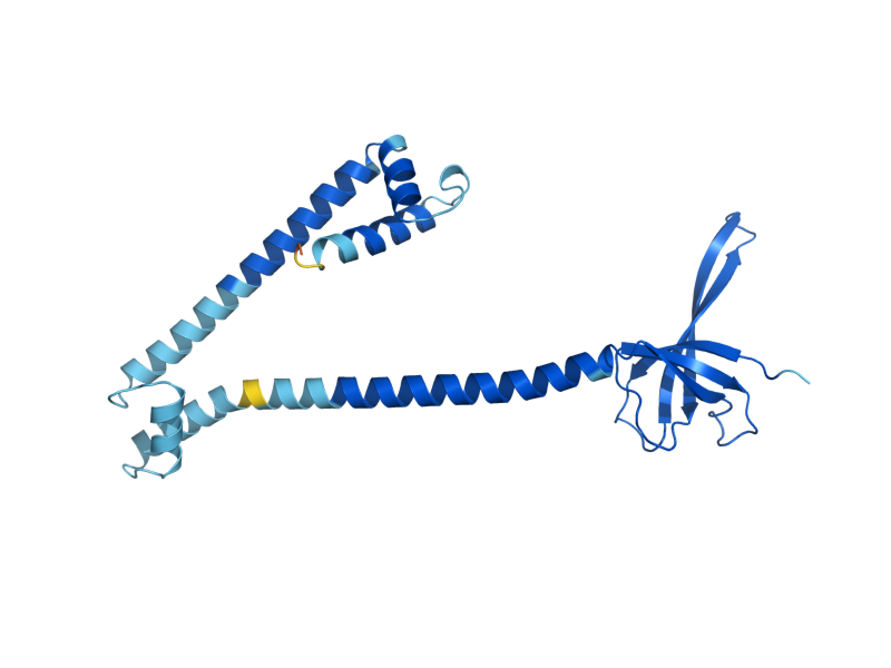 AlphaFold predicted structure of MRPS17