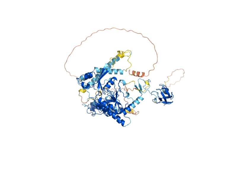 AlphaFold predicted structure of FCP1