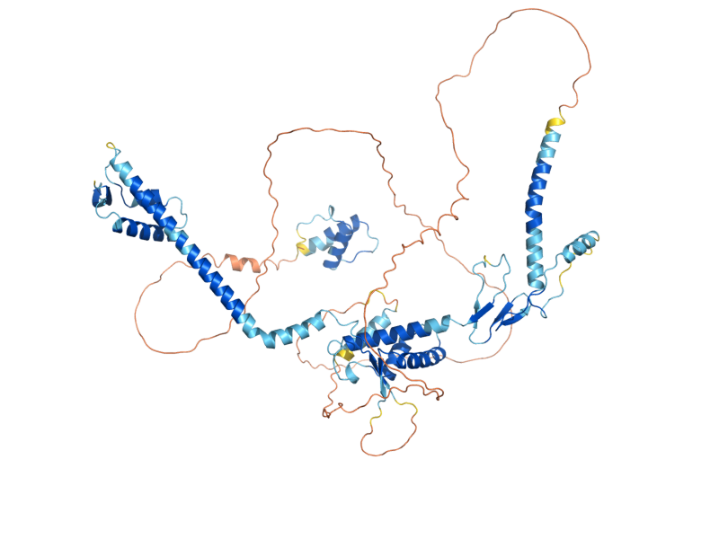AlphaFold predicted structure of HEH2