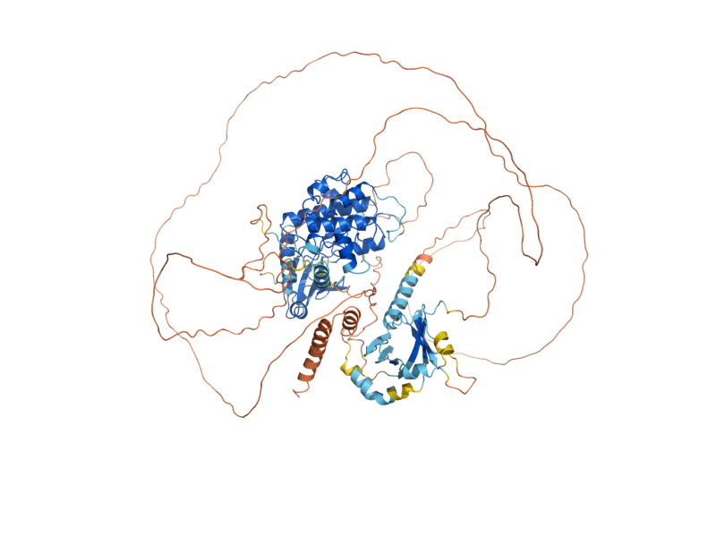 AlphaFold predicted structure of PKH3