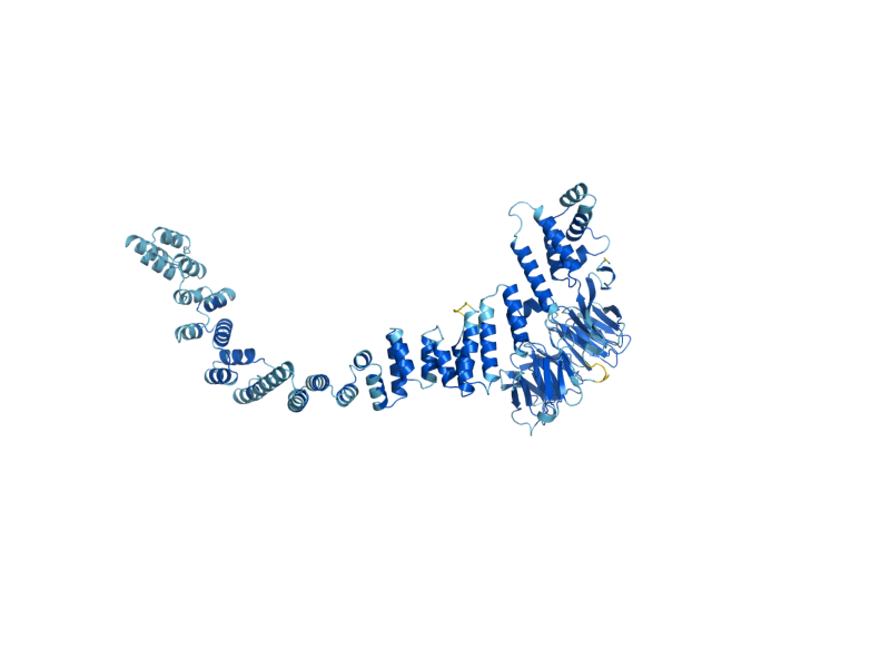 AlphaFold predicted structure of VPS16