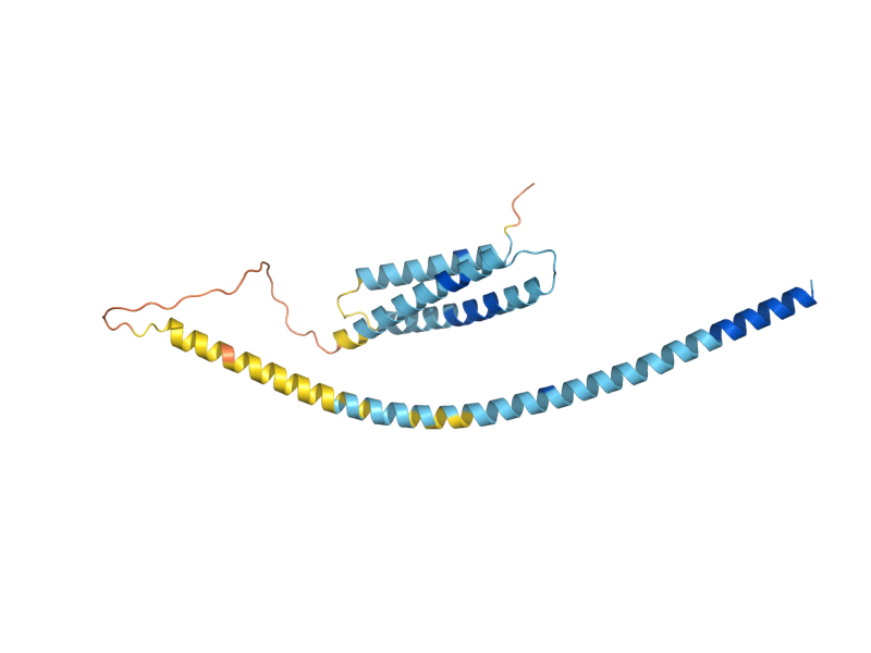 AlphaFold predicted structure of TLG1