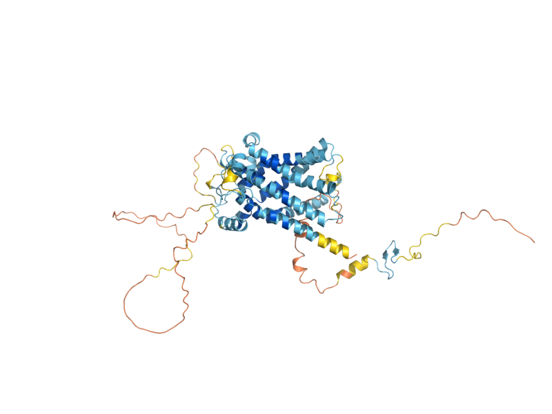 AlphaFold predicted structure of UGO1