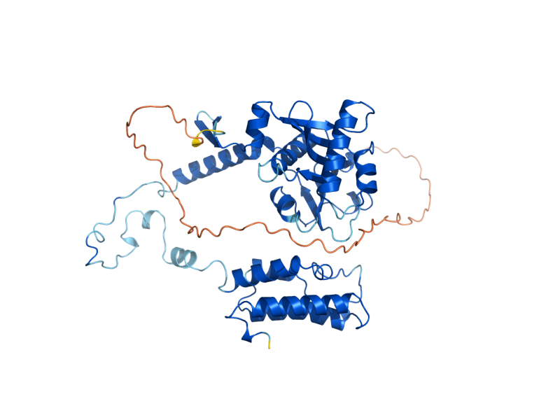 AlphaFold predicted structure of GCN5