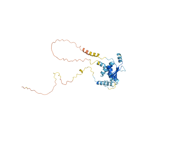 AlphaFold predicted structure of TRS31