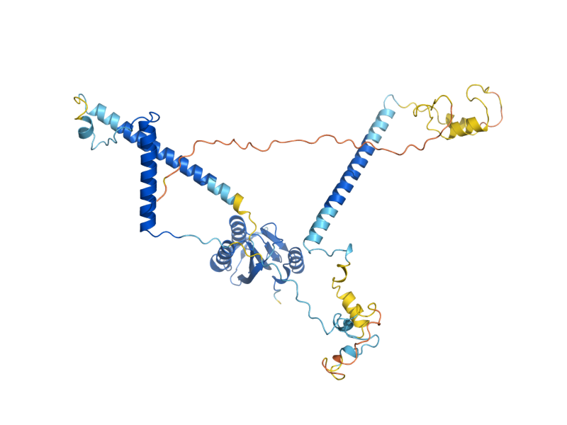 AlphaFold predicted structure of PRP3