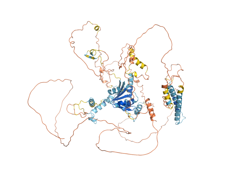 AlphaFold predicted structure of JIP4